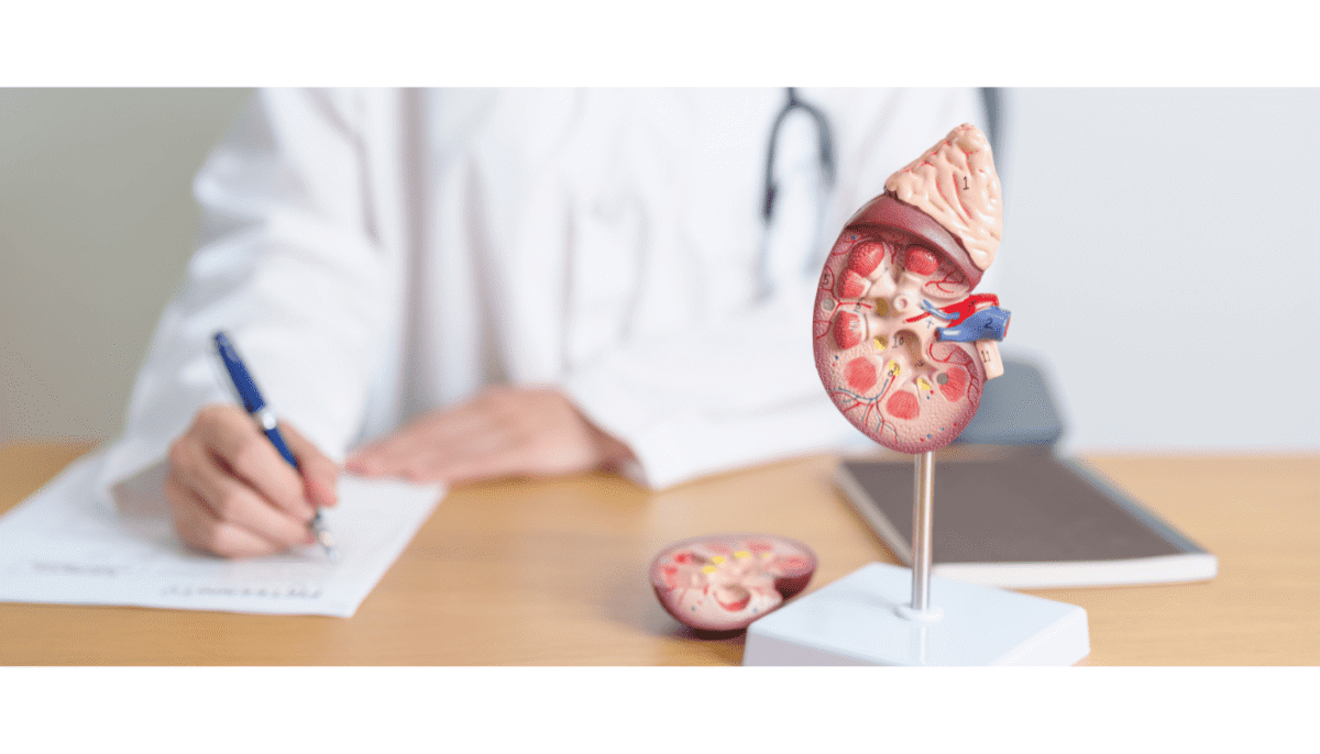 urologia-1200x686.png