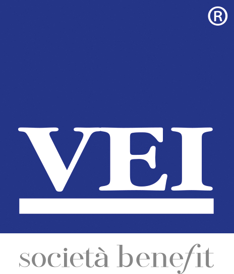 Convenzione VEI